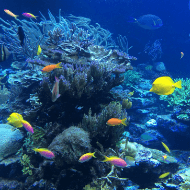 オリジナル挙式で心に残る1日を演出しよう！